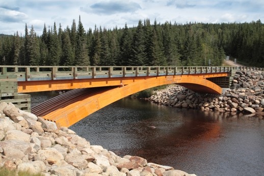 Figura 1: Puente sobre el río Montmorency, Bosque de Montmorency, Quebec, Canadá. Tiene un ancho de 44 m, una altura de 33 m y una anchura de 4,8 m [3].