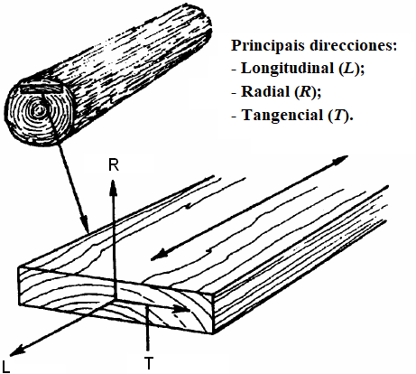 Figura 2 - Los tres ejes/direcciones principales de la madera con respecto a la dirección de la fibra y los anillos de crecimiento [4].